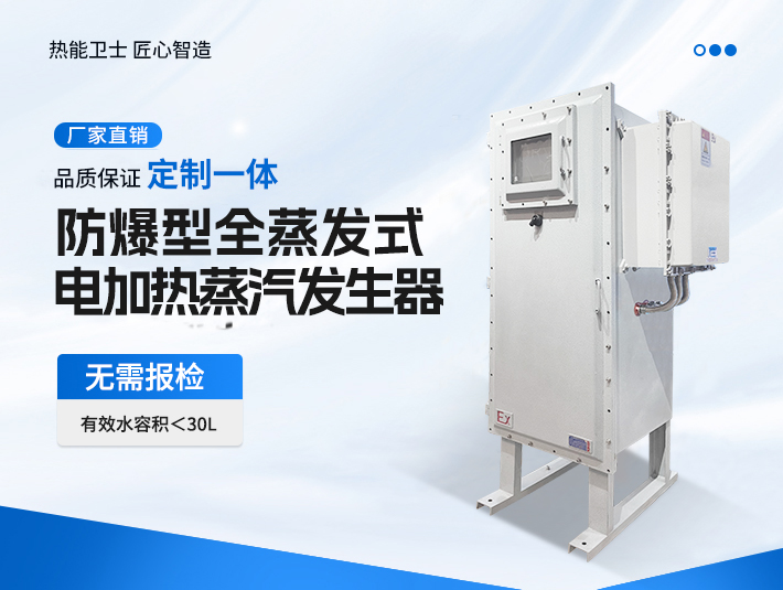 定制一体防爆全蒸发式电加热蒸汽发生器