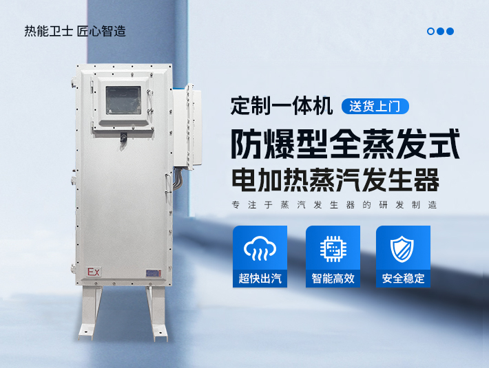 定制一体防爆全蒸发式电加热蒸汽发生器