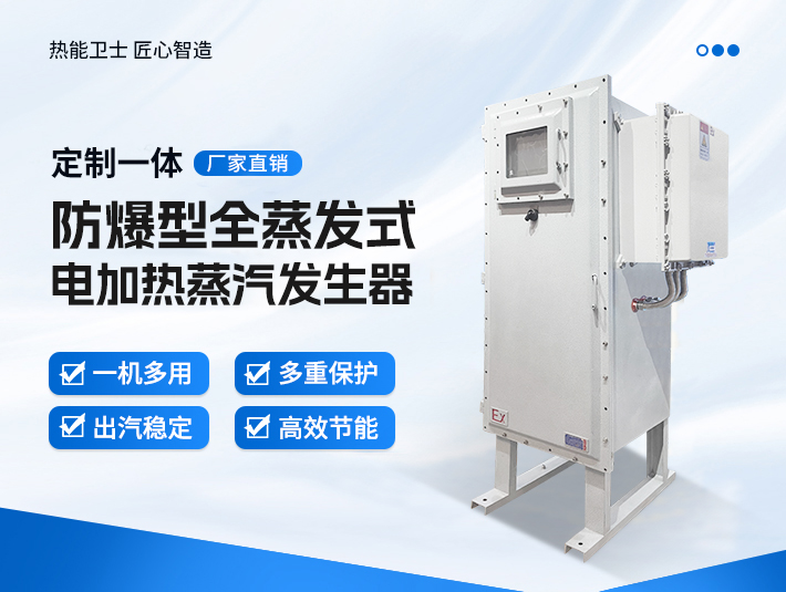 定制一体防爆全蒸发式电加热蒸汽发生器