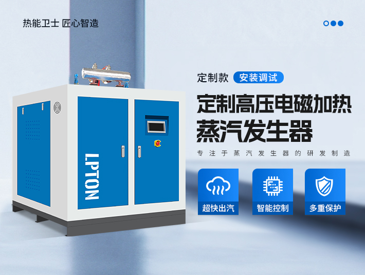 定制高压电磁加热蒸汽发生器