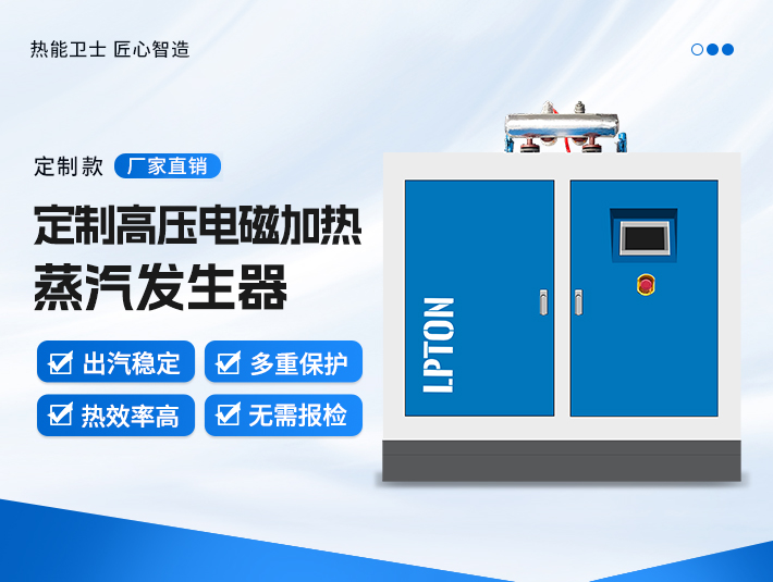 定制高压电磁加热蒸汽发生器