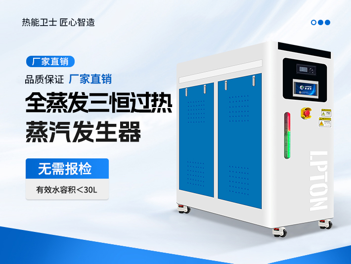 全蒸发三恒过热高温蒸汽发生器