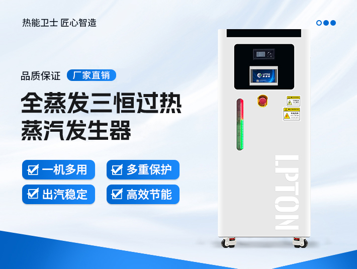 全蒸发三恒过热高温蒸汽发生器